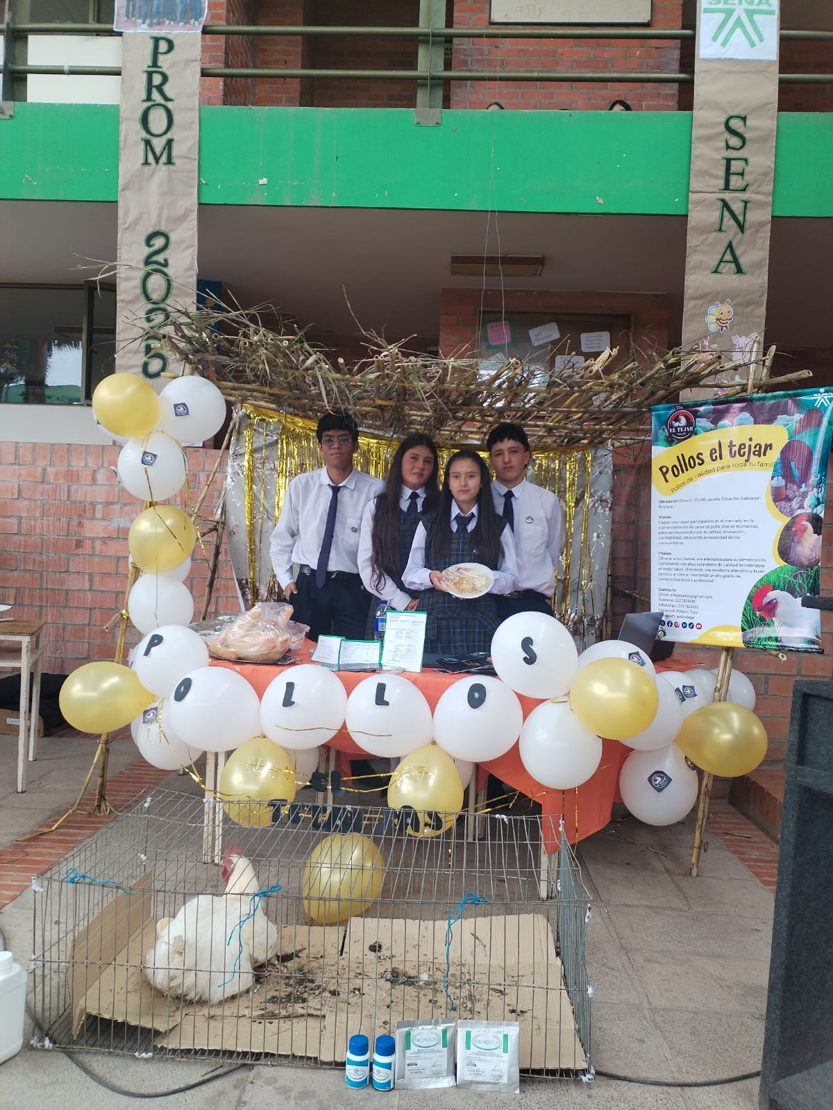 Descripción de la imagen